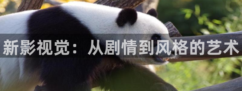 樱花动漫影院在线观看