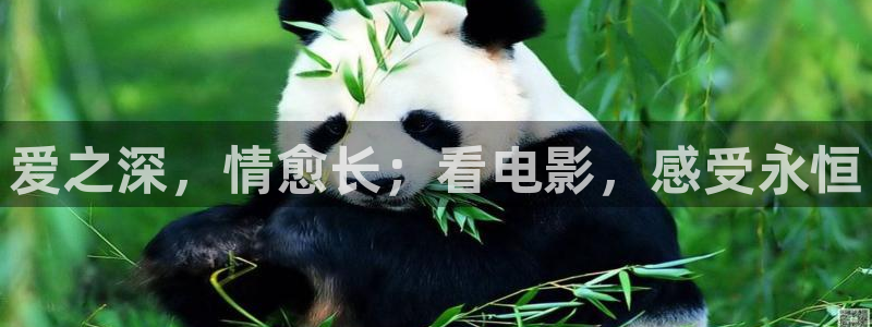 樱花影院高清视频